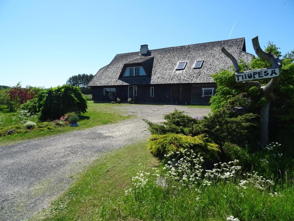 Tiiupesa Guest House Hellamaa  エクステリア 写真