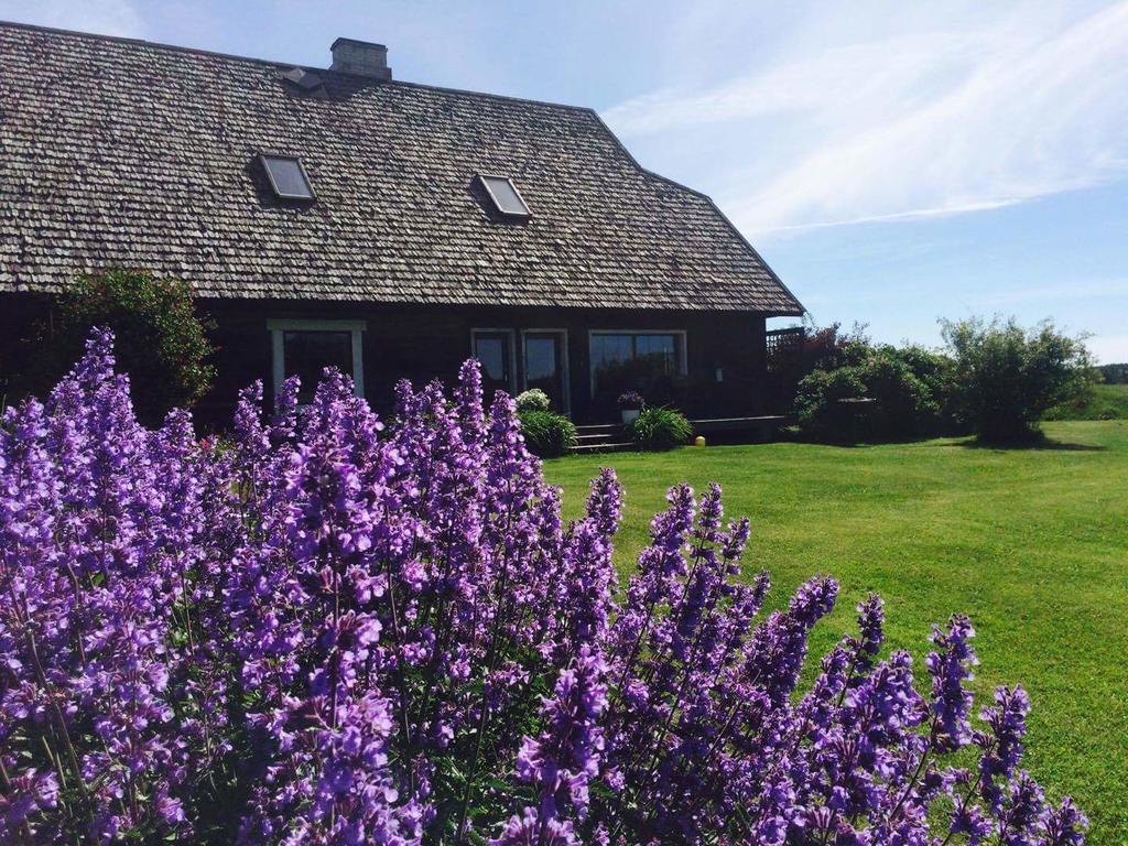 Tiiupesa Guest House Hellamaa  エクステリア 写真
